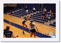 vs Kapaun * (202 Slides)